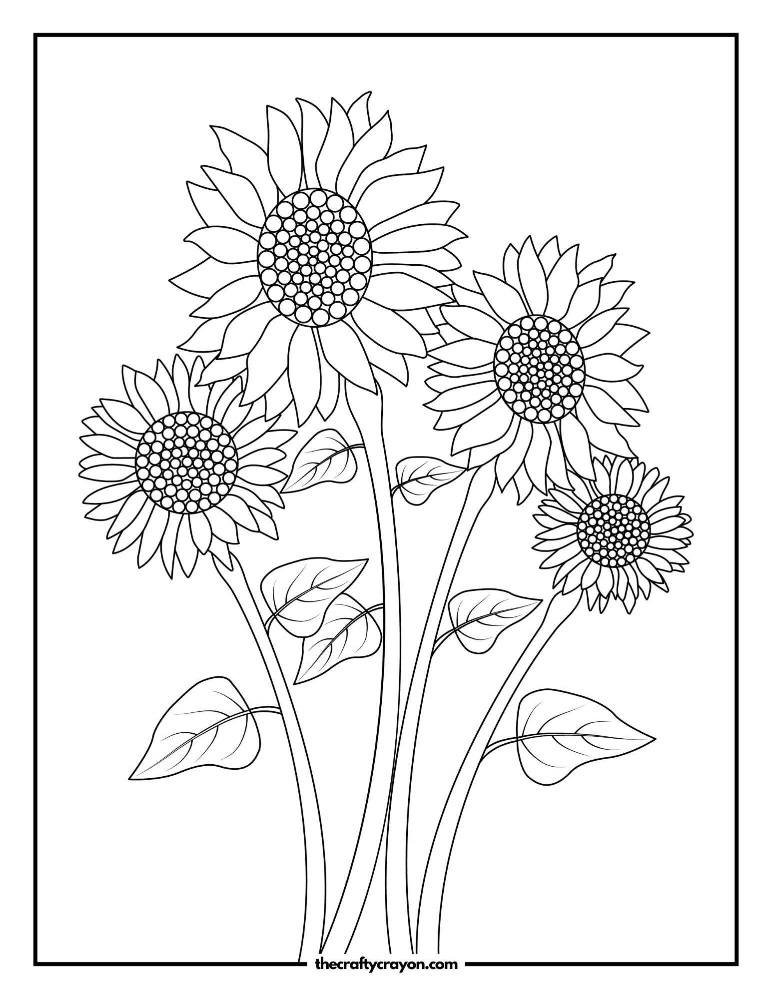 Cluster of Tall Sunflowers