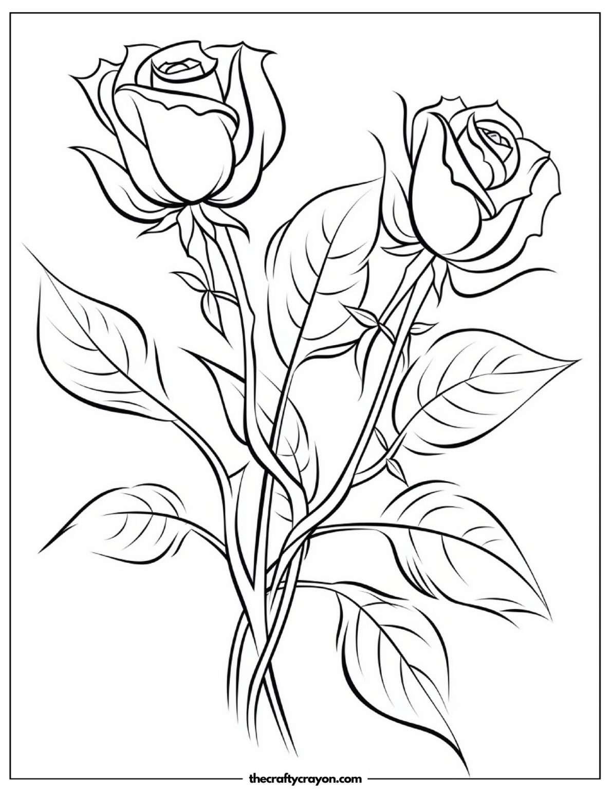 Roses Coloring Pages (Free Printable PDFs)