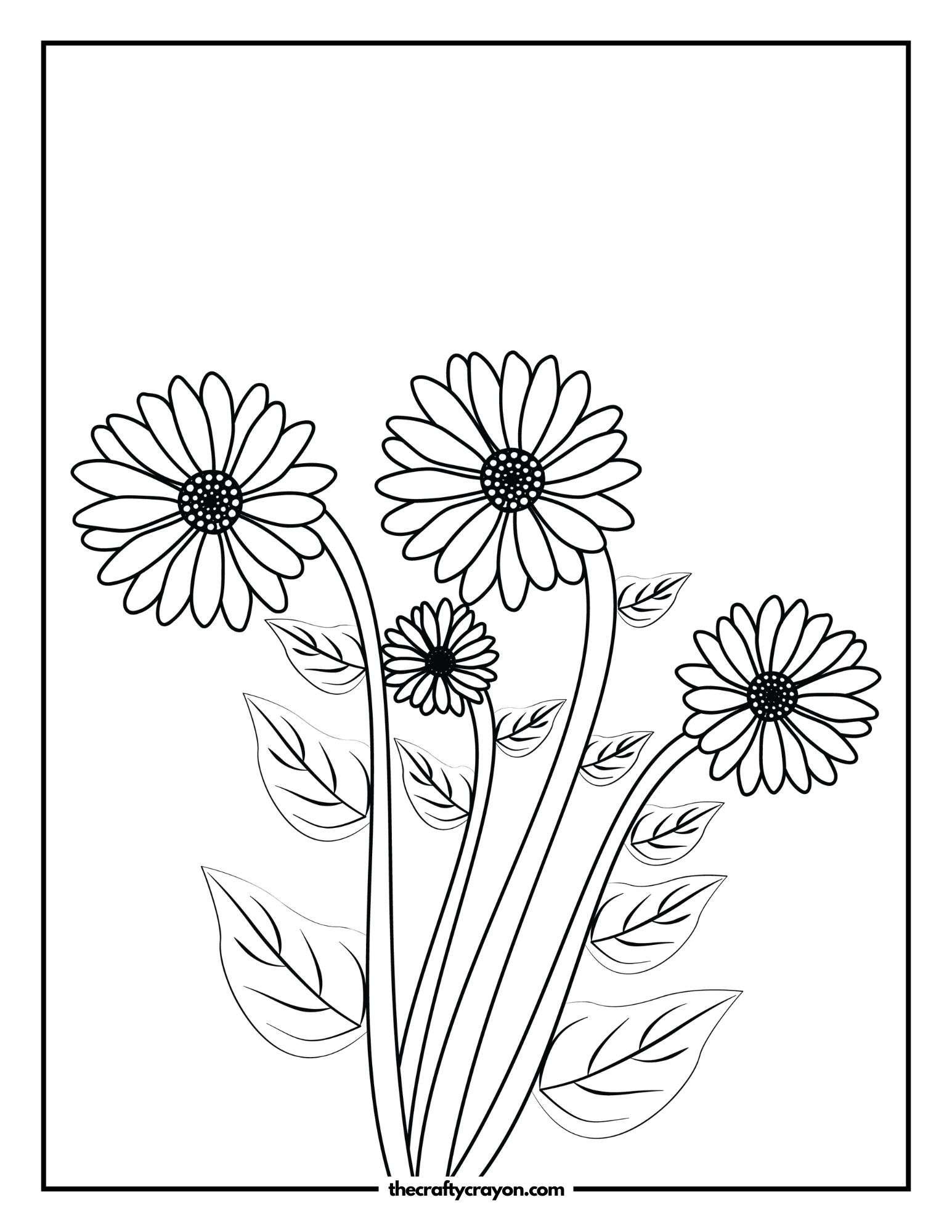 Delicate Sunflowers with Leaves