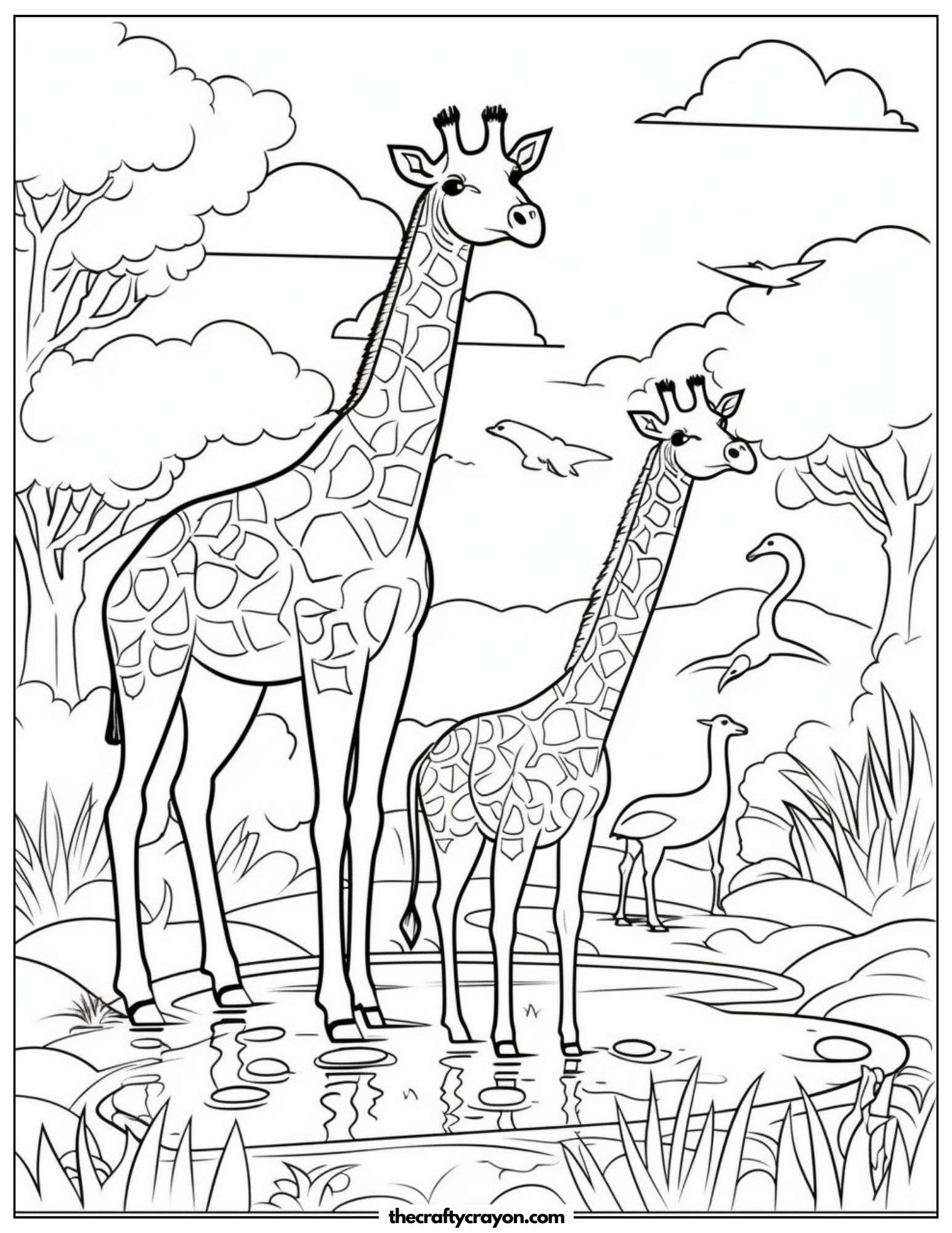 Elegant Giraffe Family by the Water