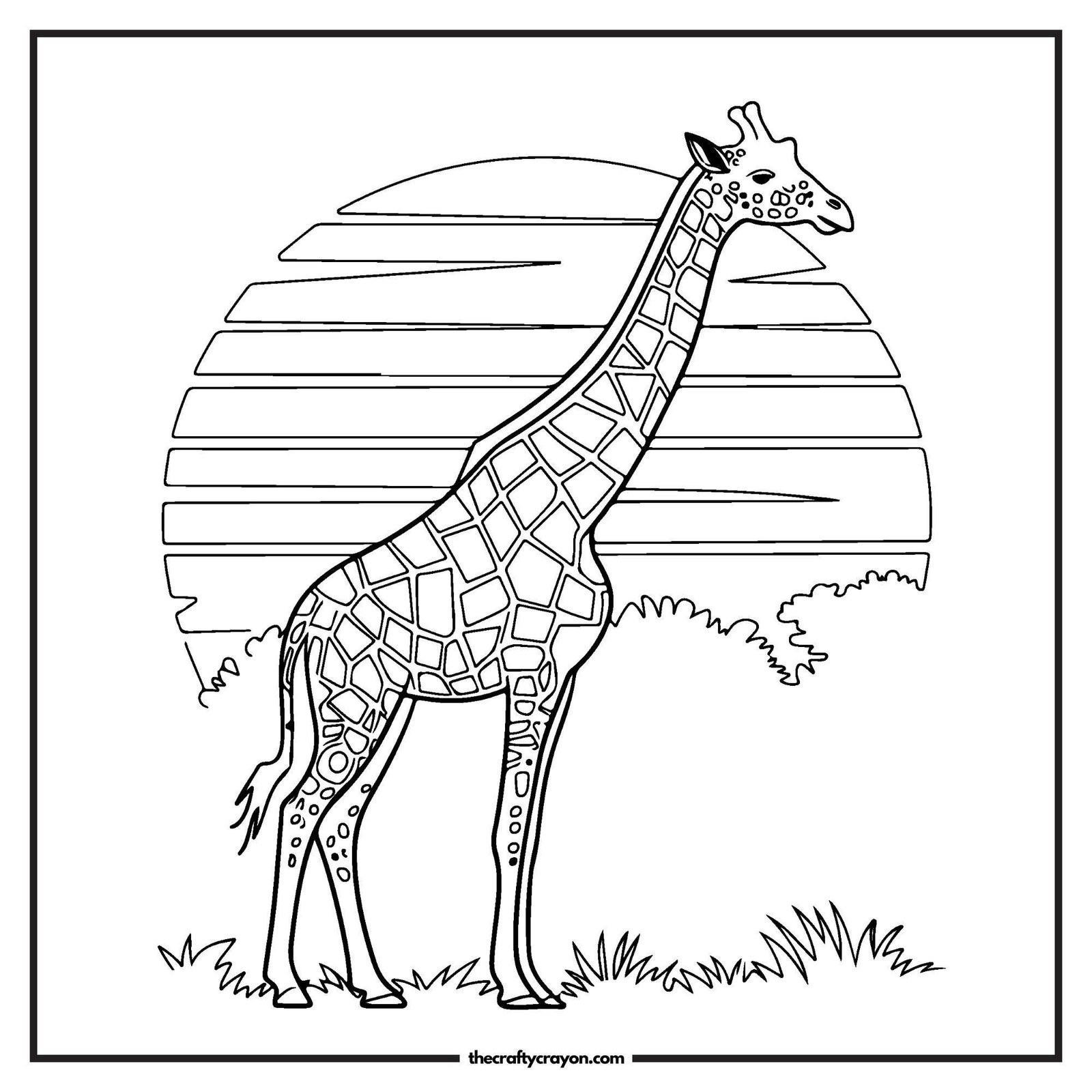 Giraffe Standing In The Sunset