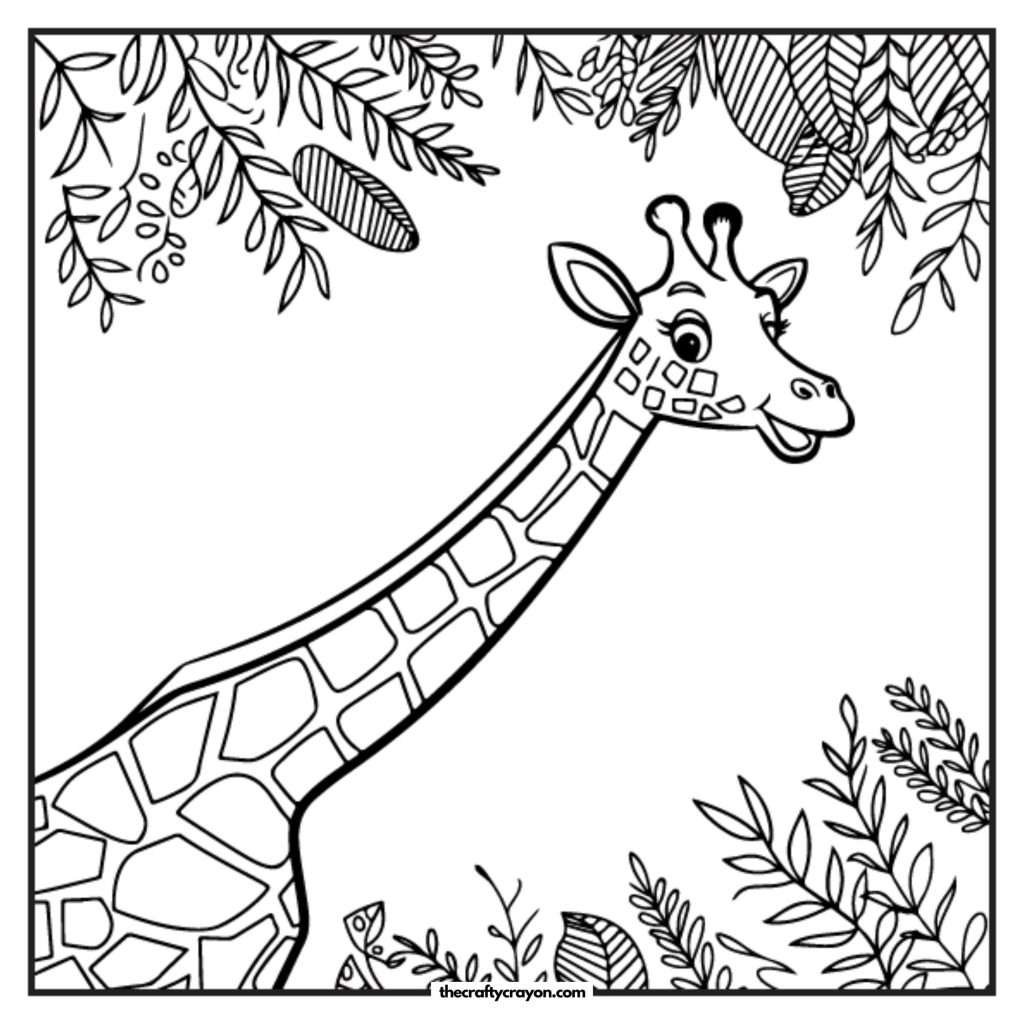 Zoo Coloring Pages (Free Printable PDFs)