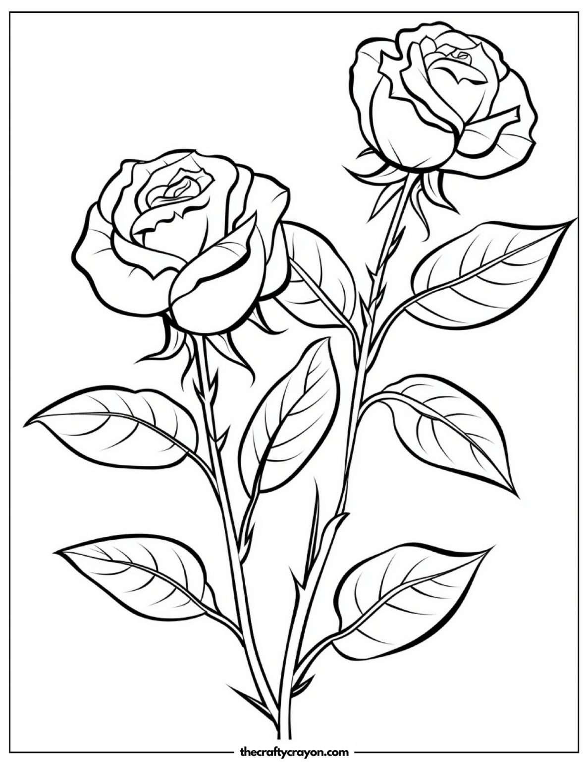 Roses Coloring Pages (Free Printable PDFs)