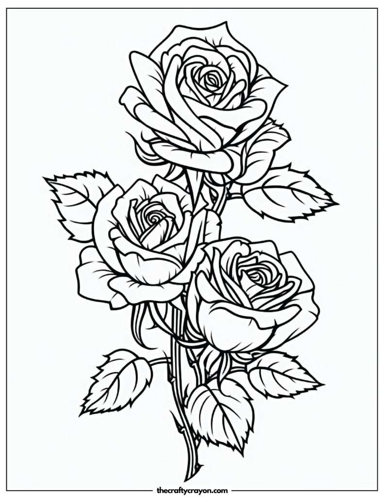 Roses Coloring Pages (Free Printable PDFs)