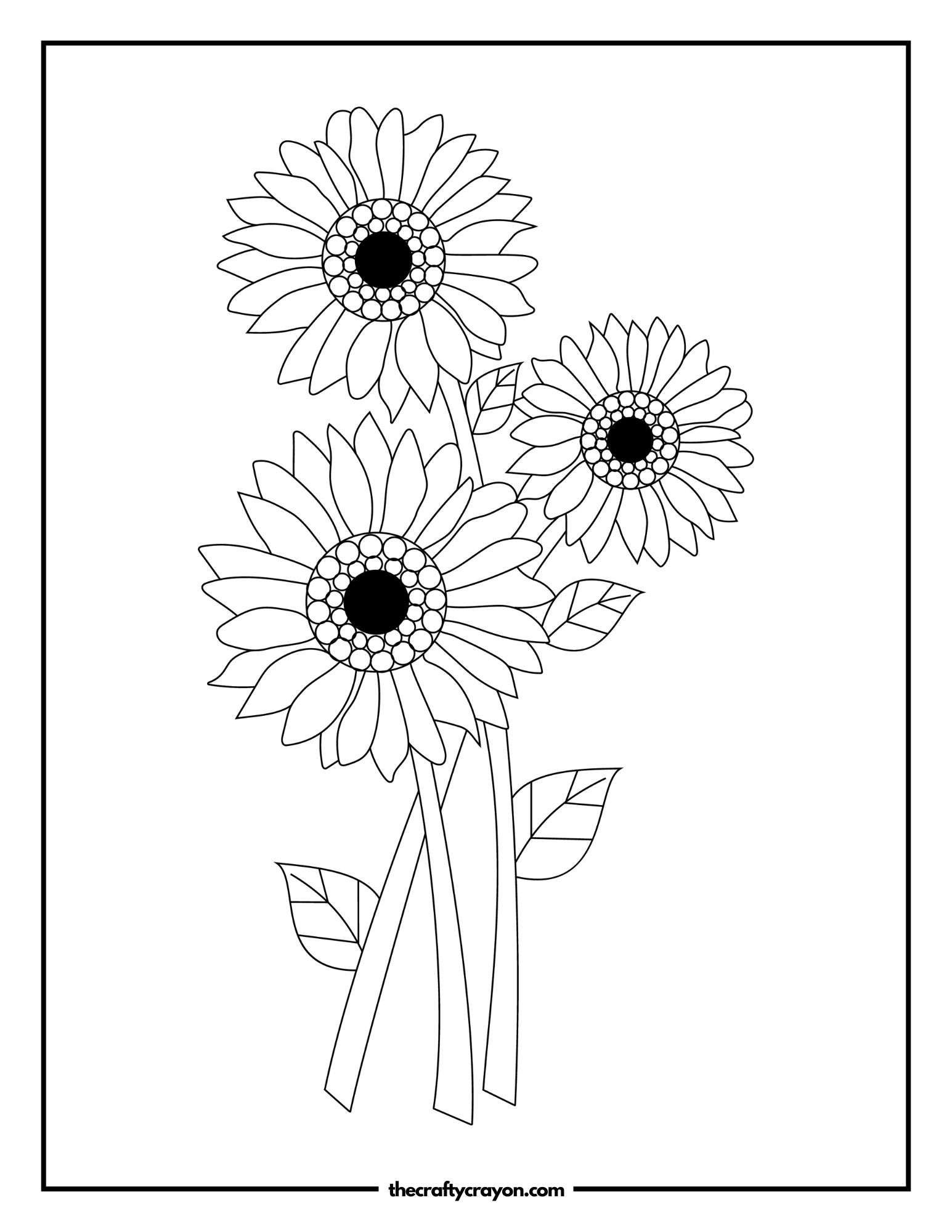 Sunflower Stalks with Petals