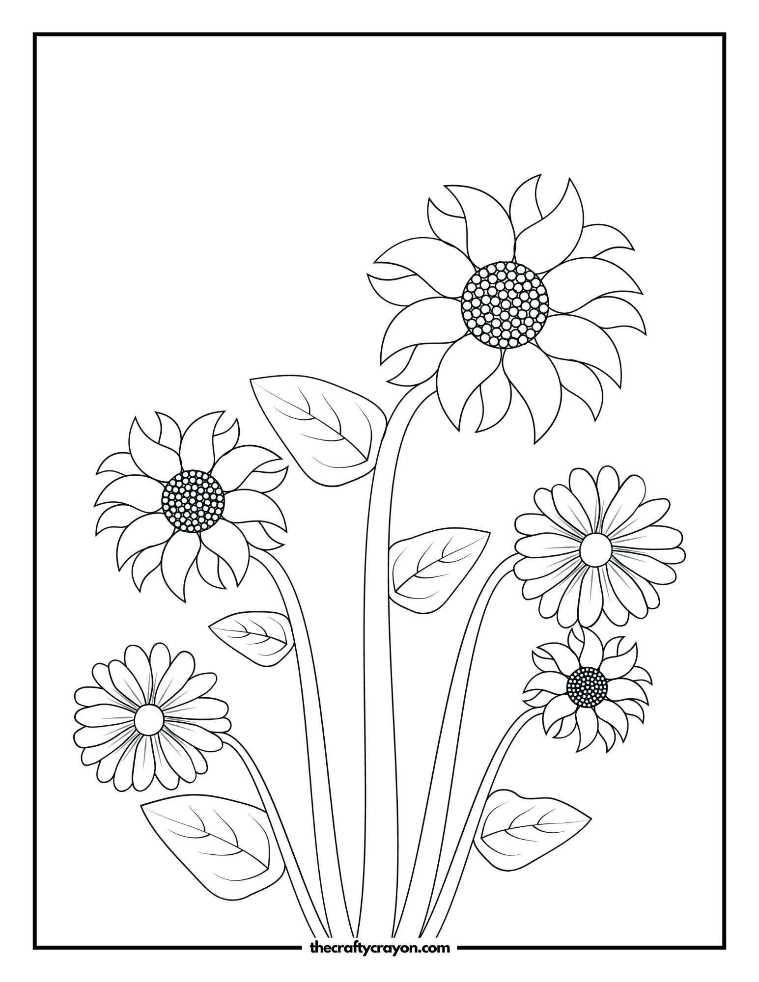 Sunflowers and Daisies Together
