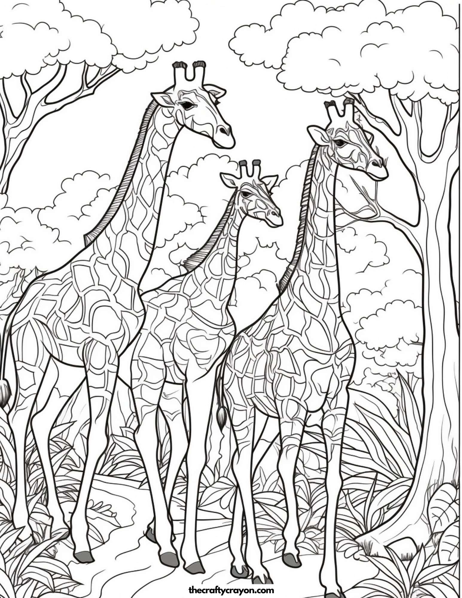 Three Giraffes on a Forest Path