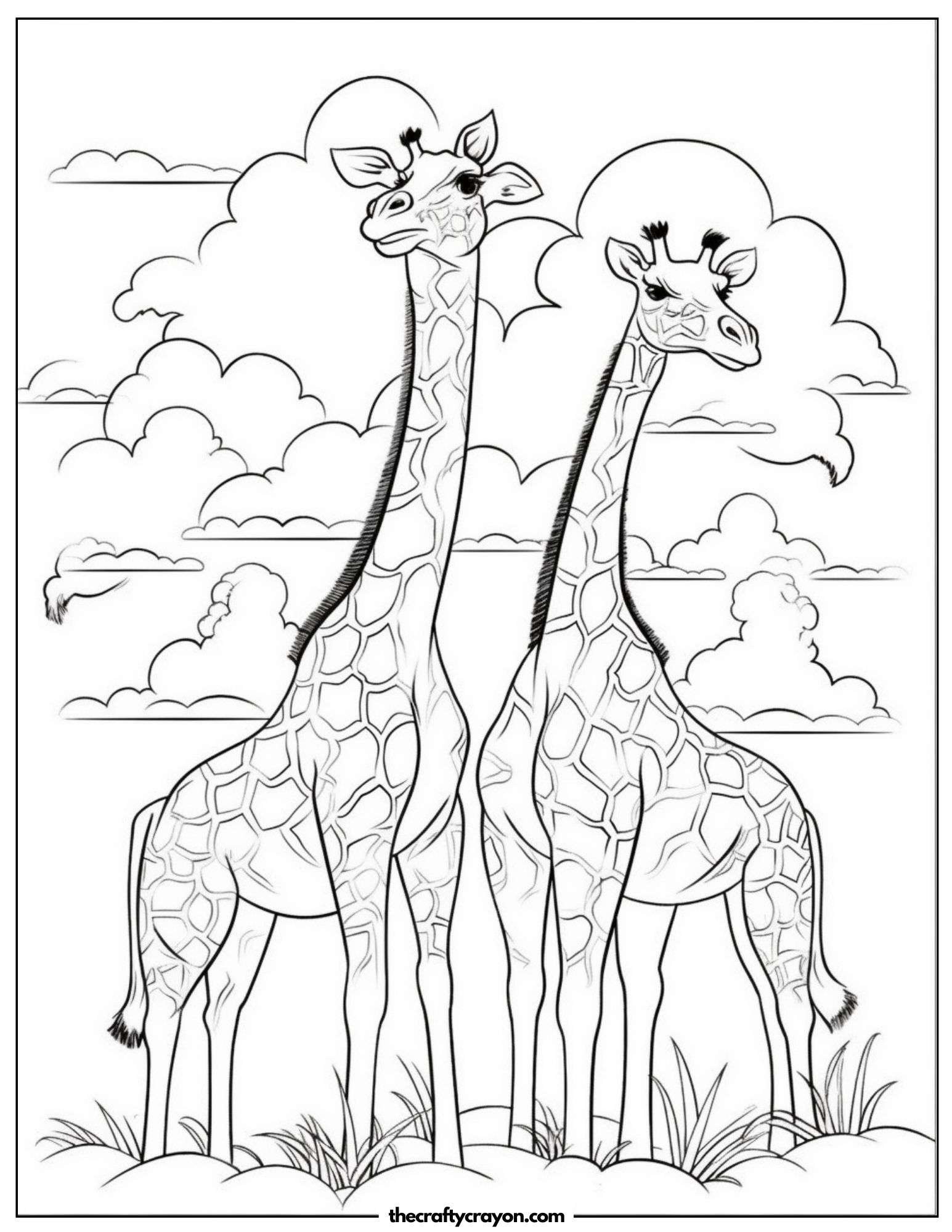 Twin Giraffes Under a Cloudy Sky