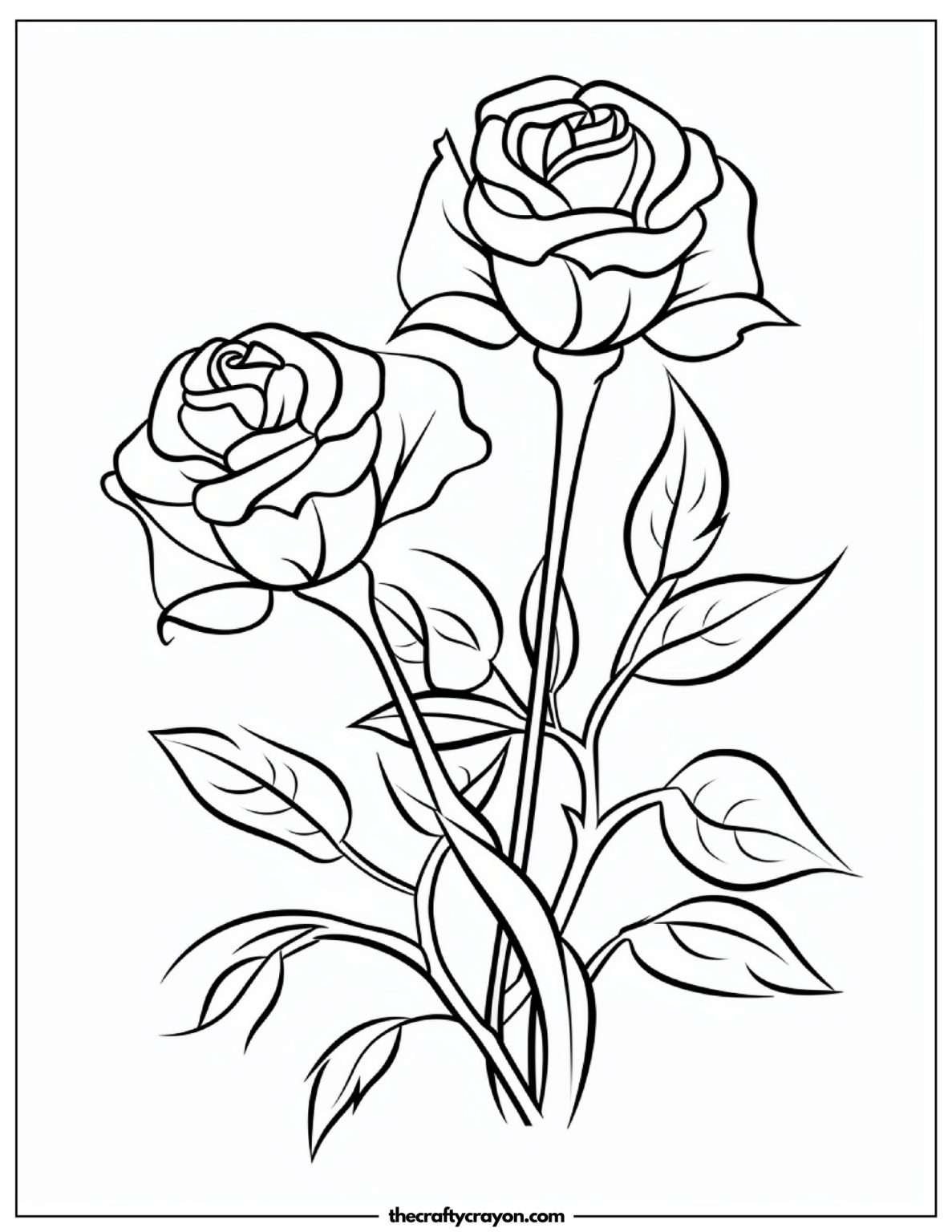 Roses Coloring Pages (Free Printable PDFs)
