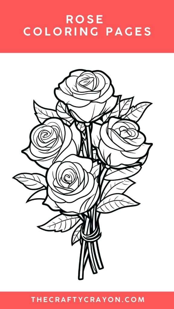 rose coloring page rose coloring page