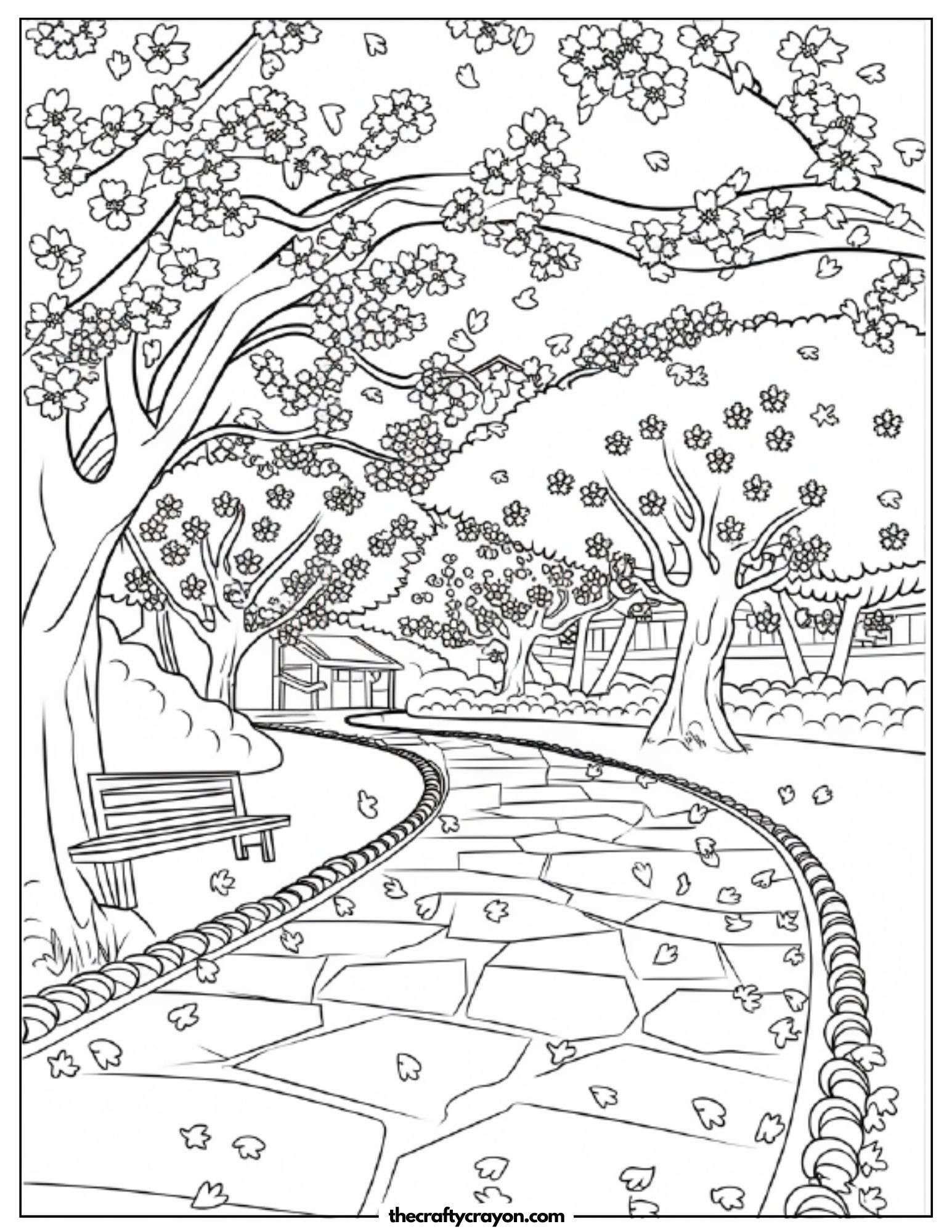 A cherry blossom pathway in full bloom