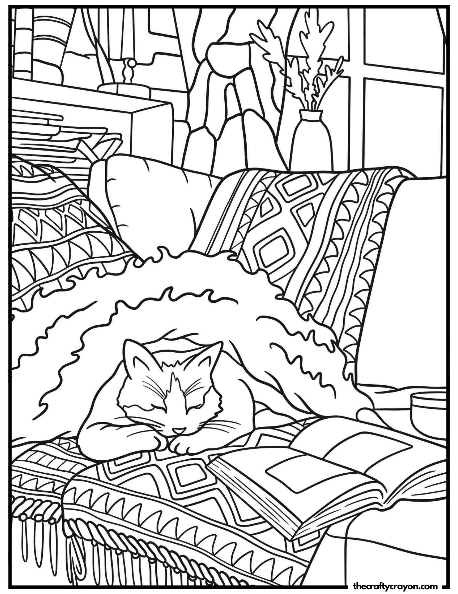 A sleeping cat on a cozy couch with a book