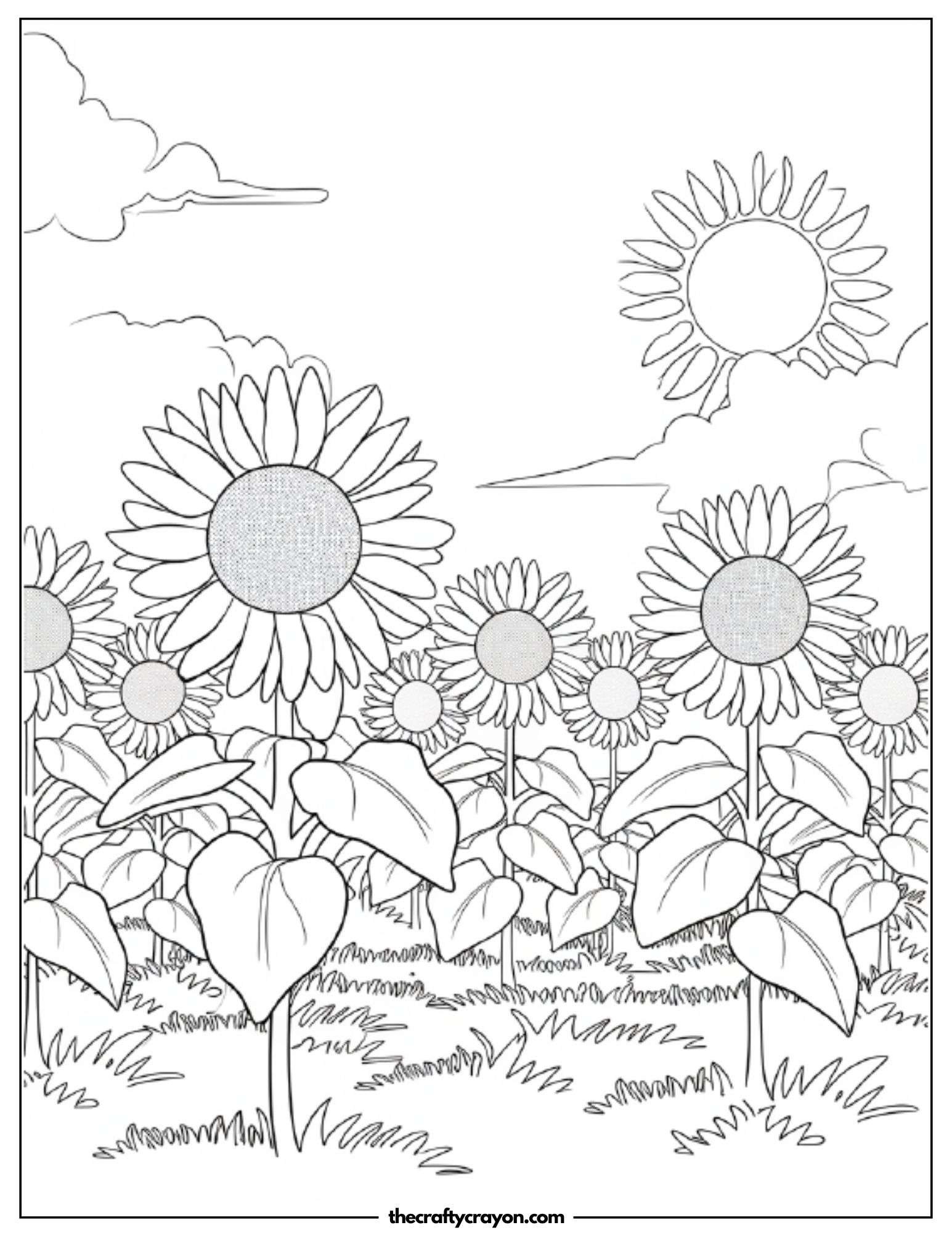 A sunflower field under a bright sky