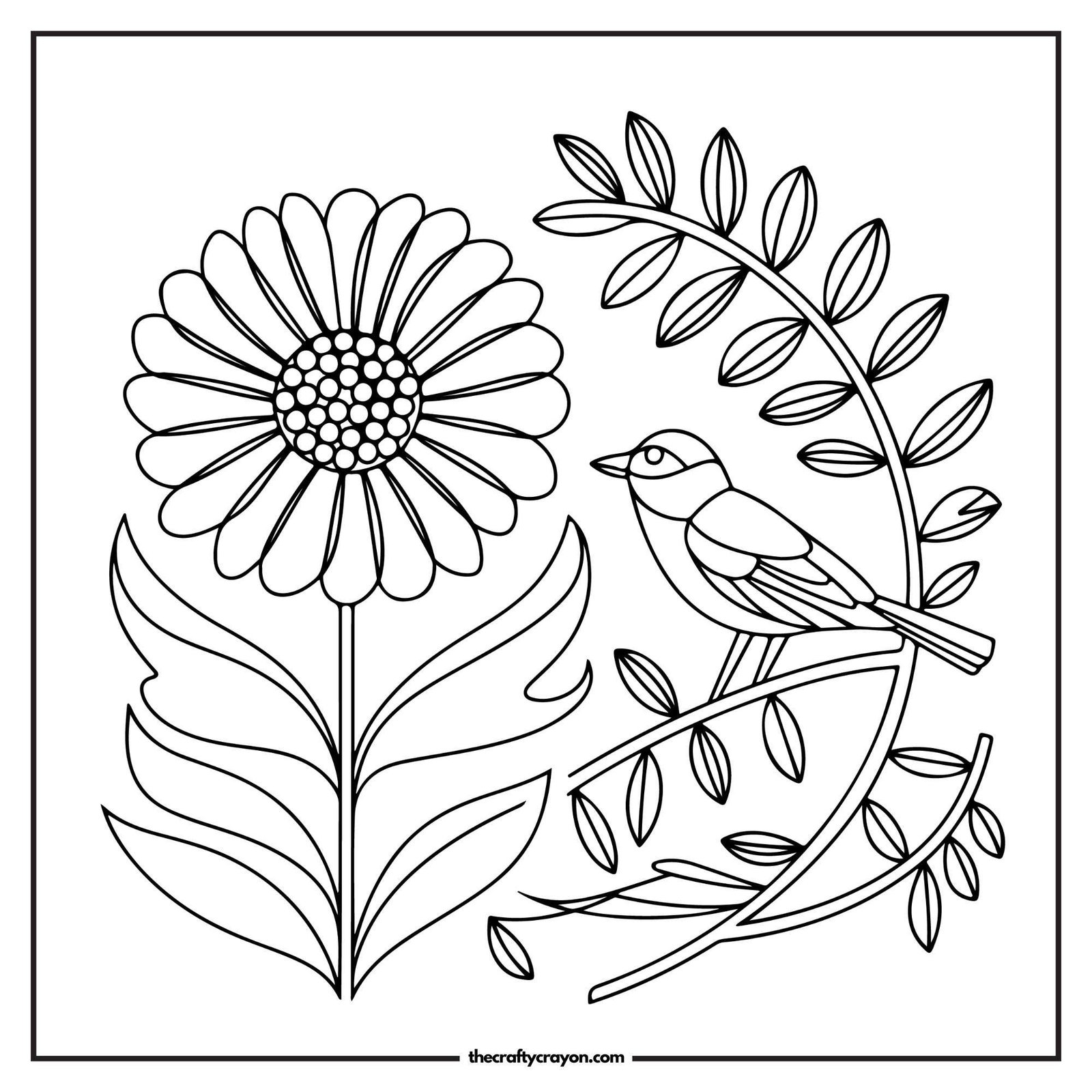 Daisy With A Small Bird Resting Nearby