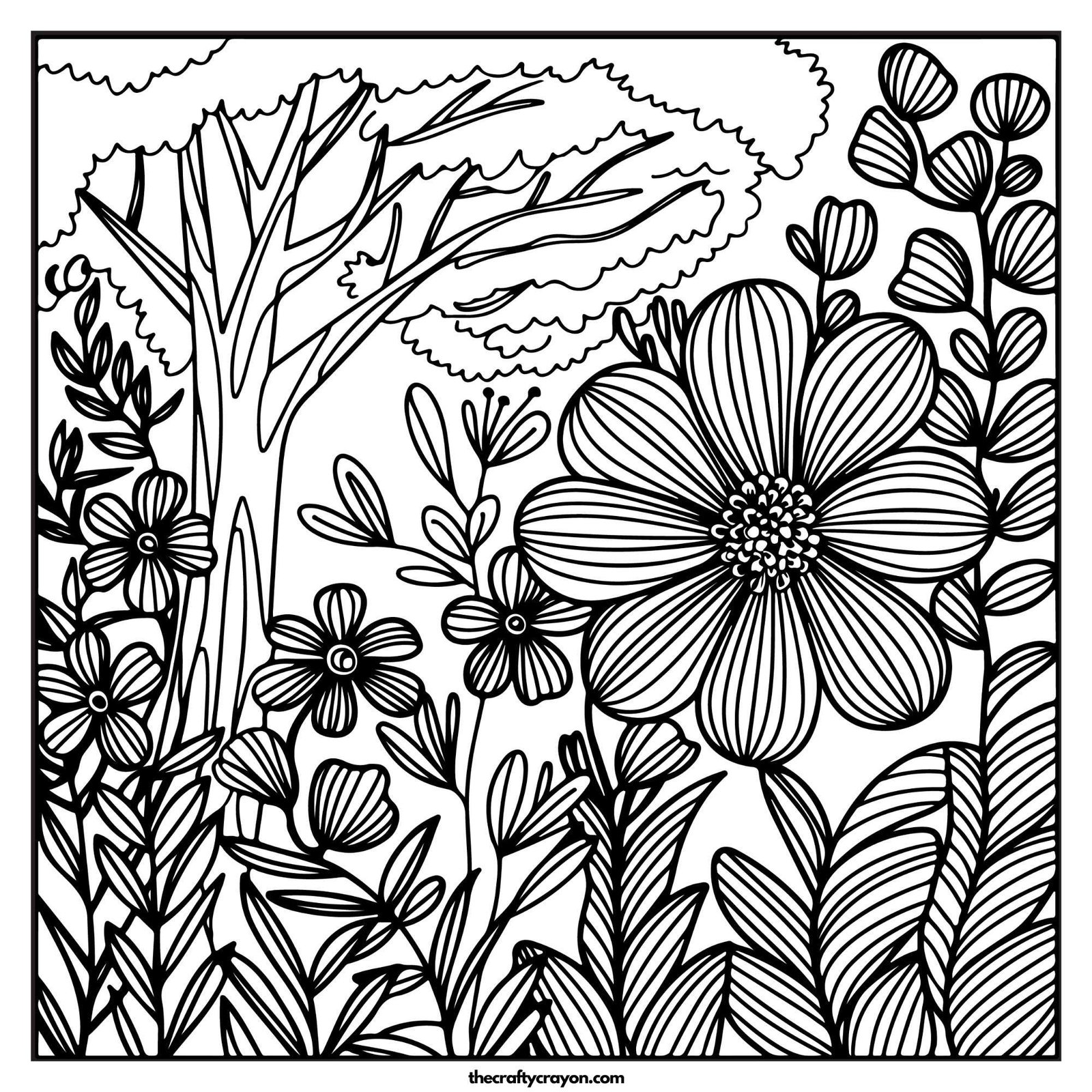 Flowers Growing In A Forest