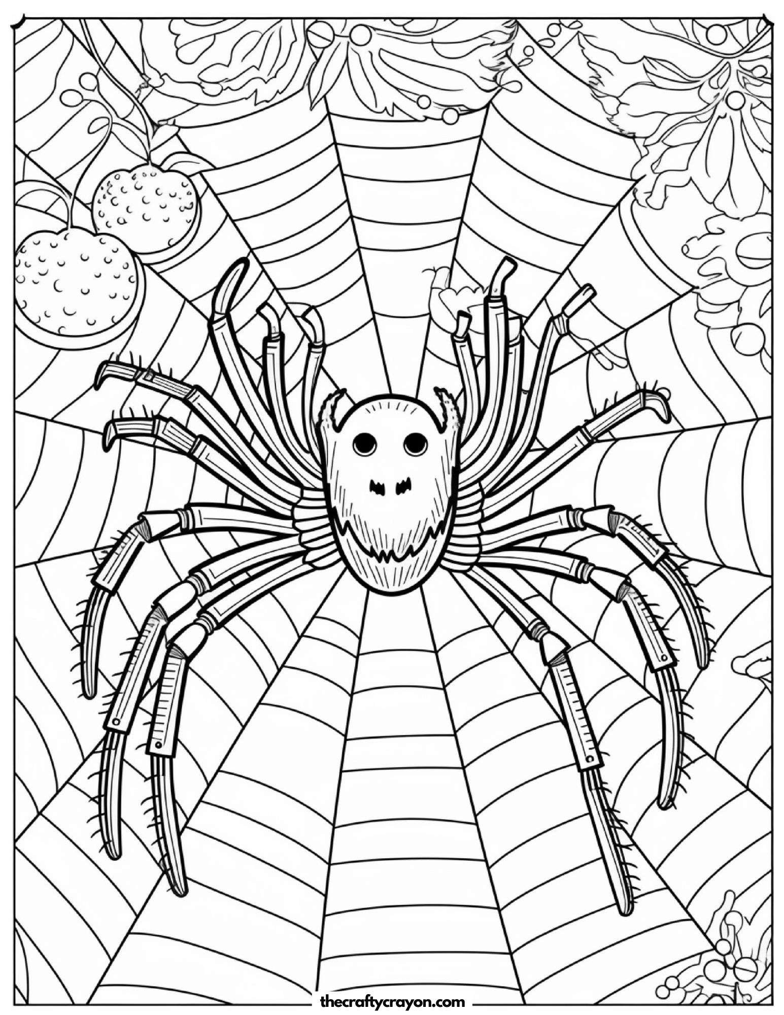 Fluffy Spider Hanging On Web Coloring Page