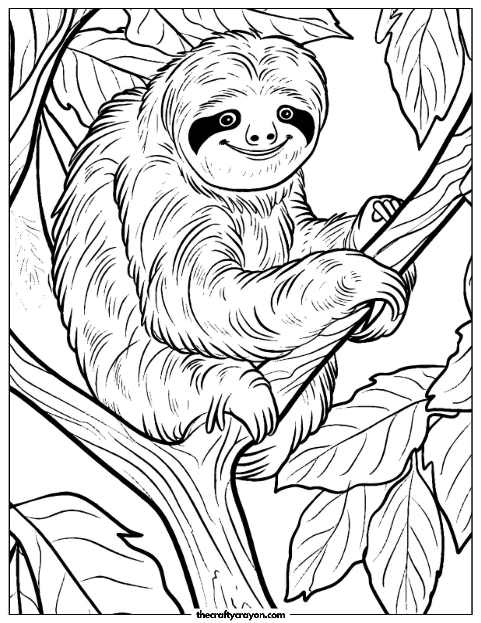 Happy Sloth On Tree Coloring Page
