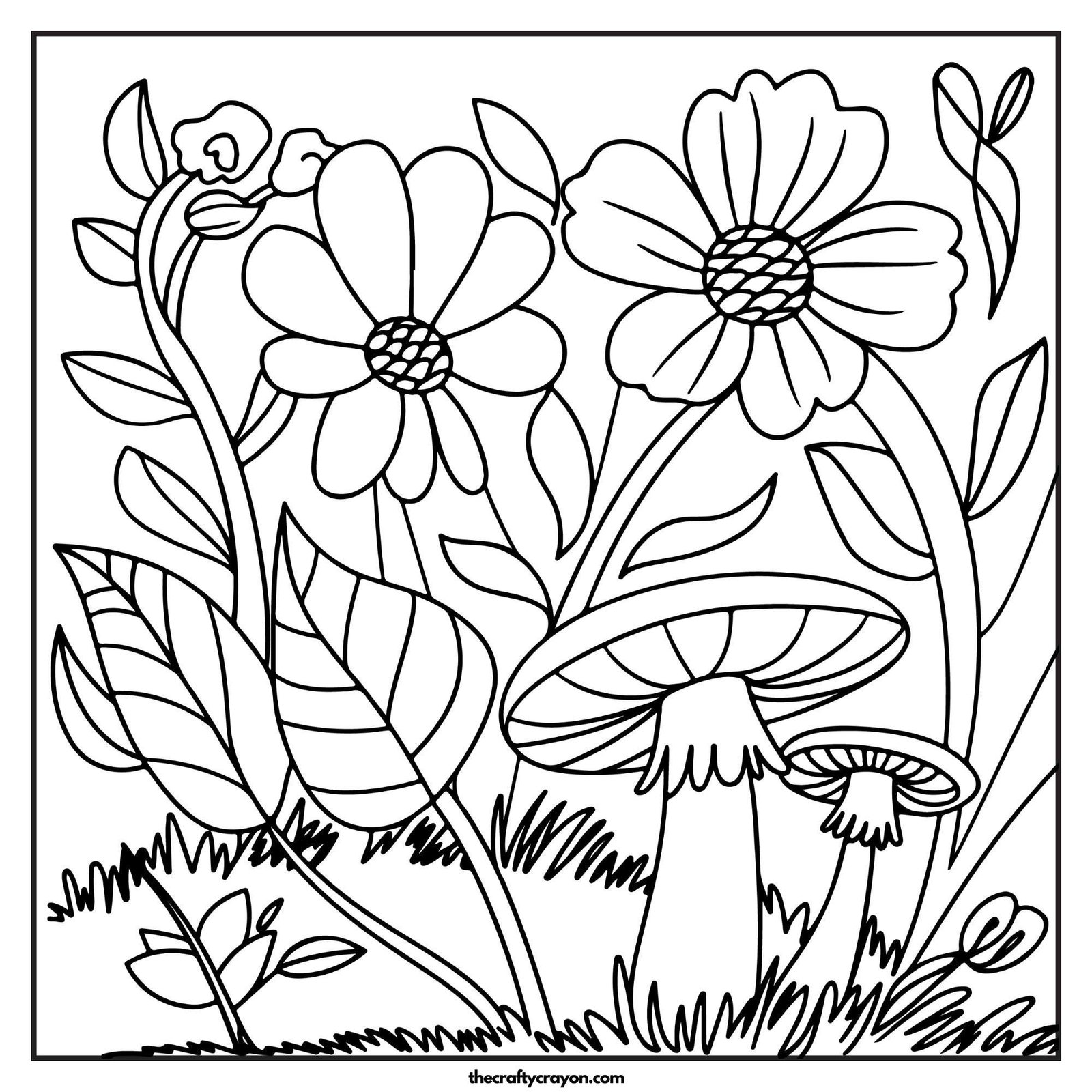 Mushrooms And Flowers In A Forest