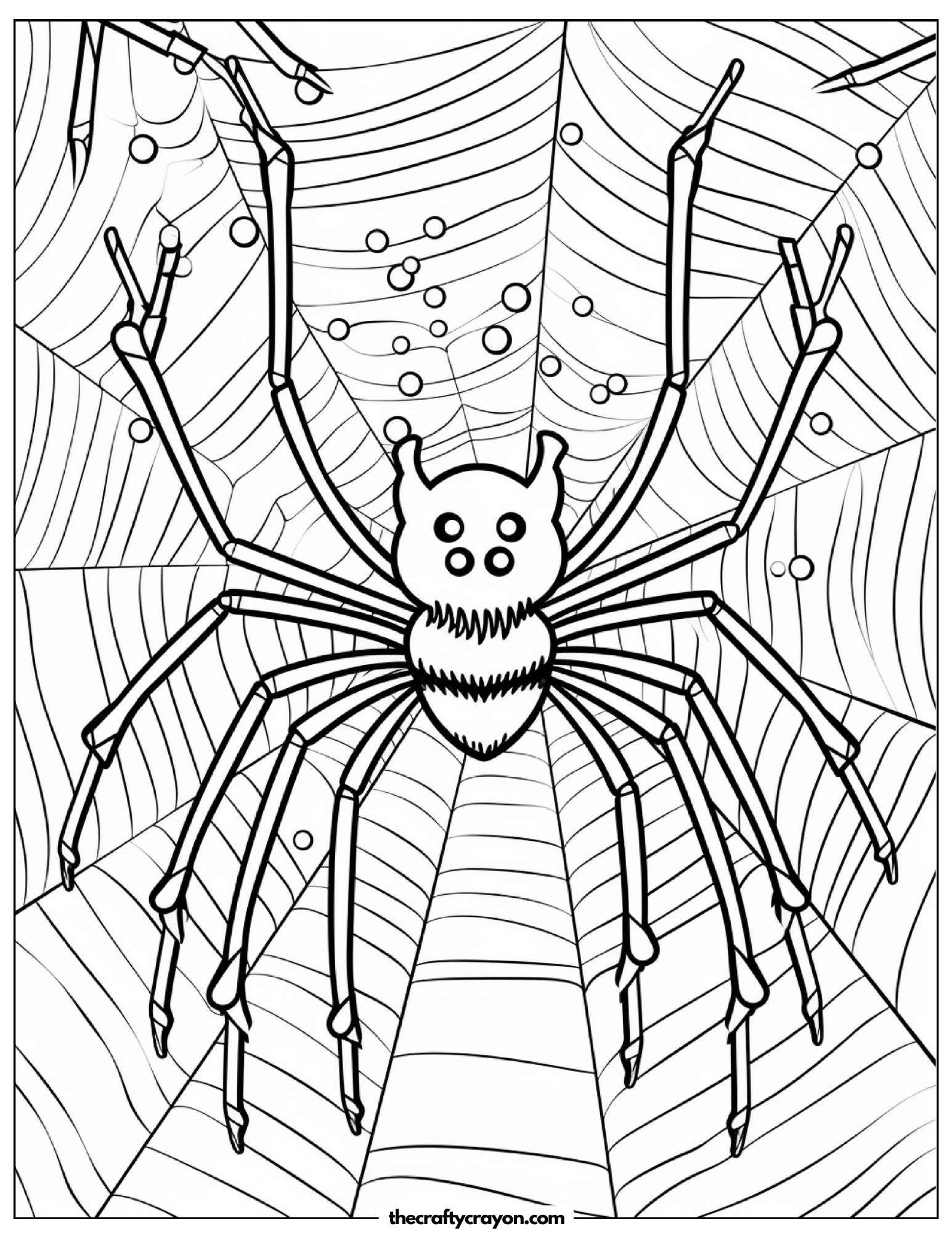 Realistic Spider Web Coloring Page