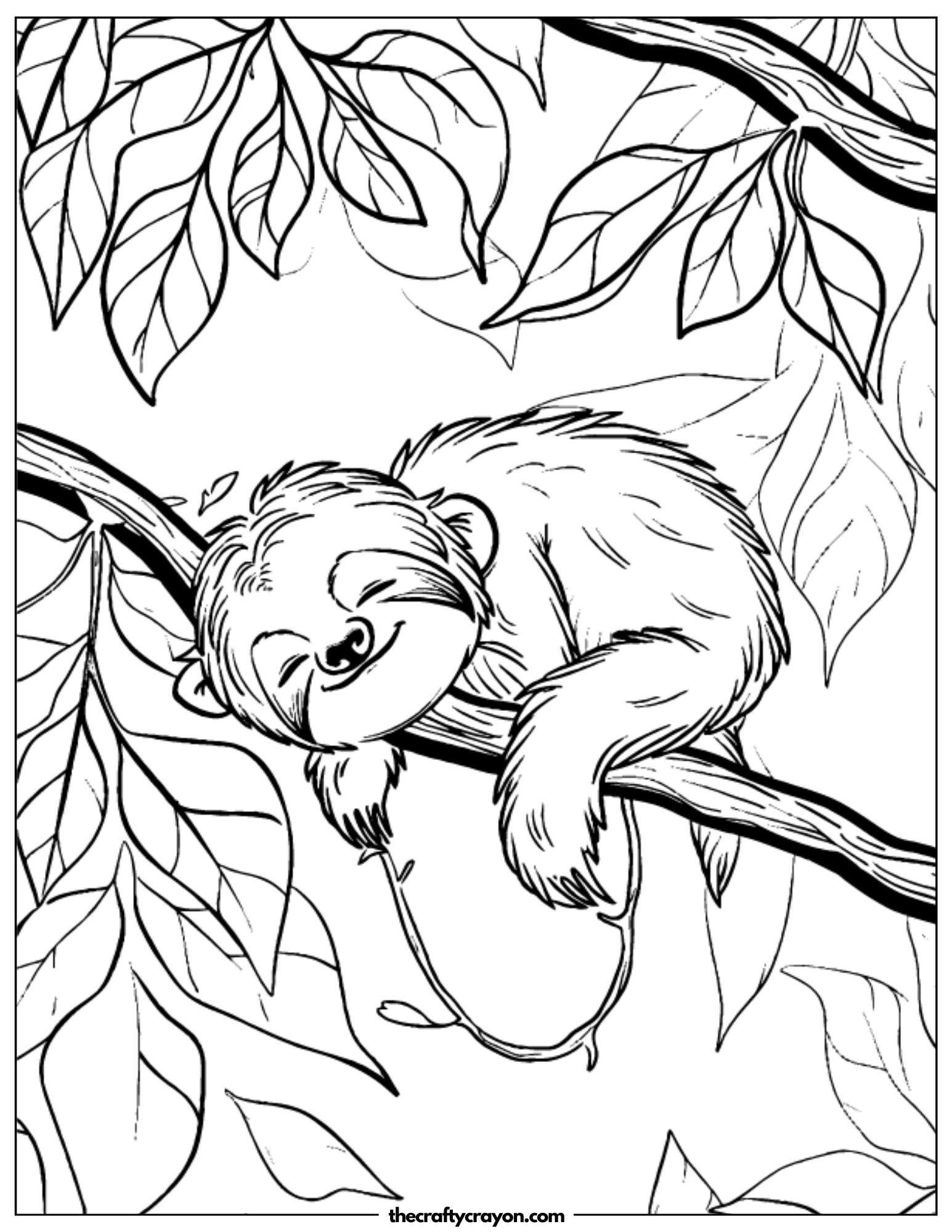 Sleeping Sloth On Branch Coloring Page