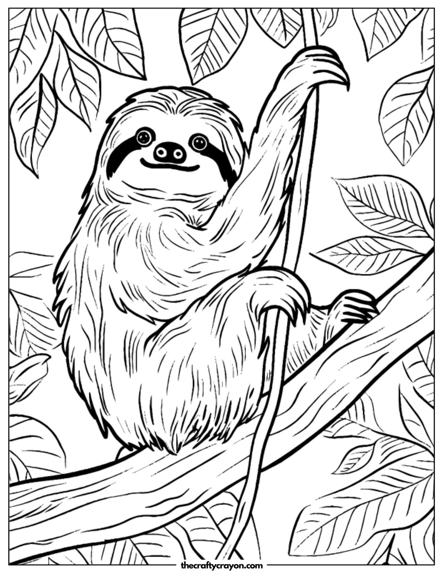 Sloth Climbing A Vine Coloring Page