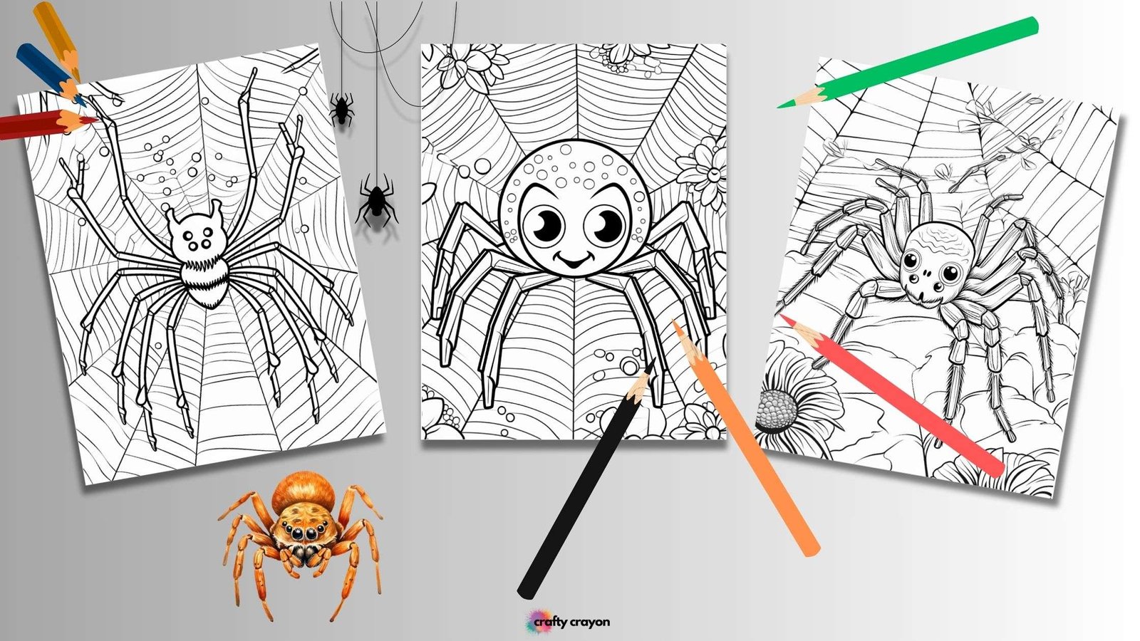 Spider Coloring Pages