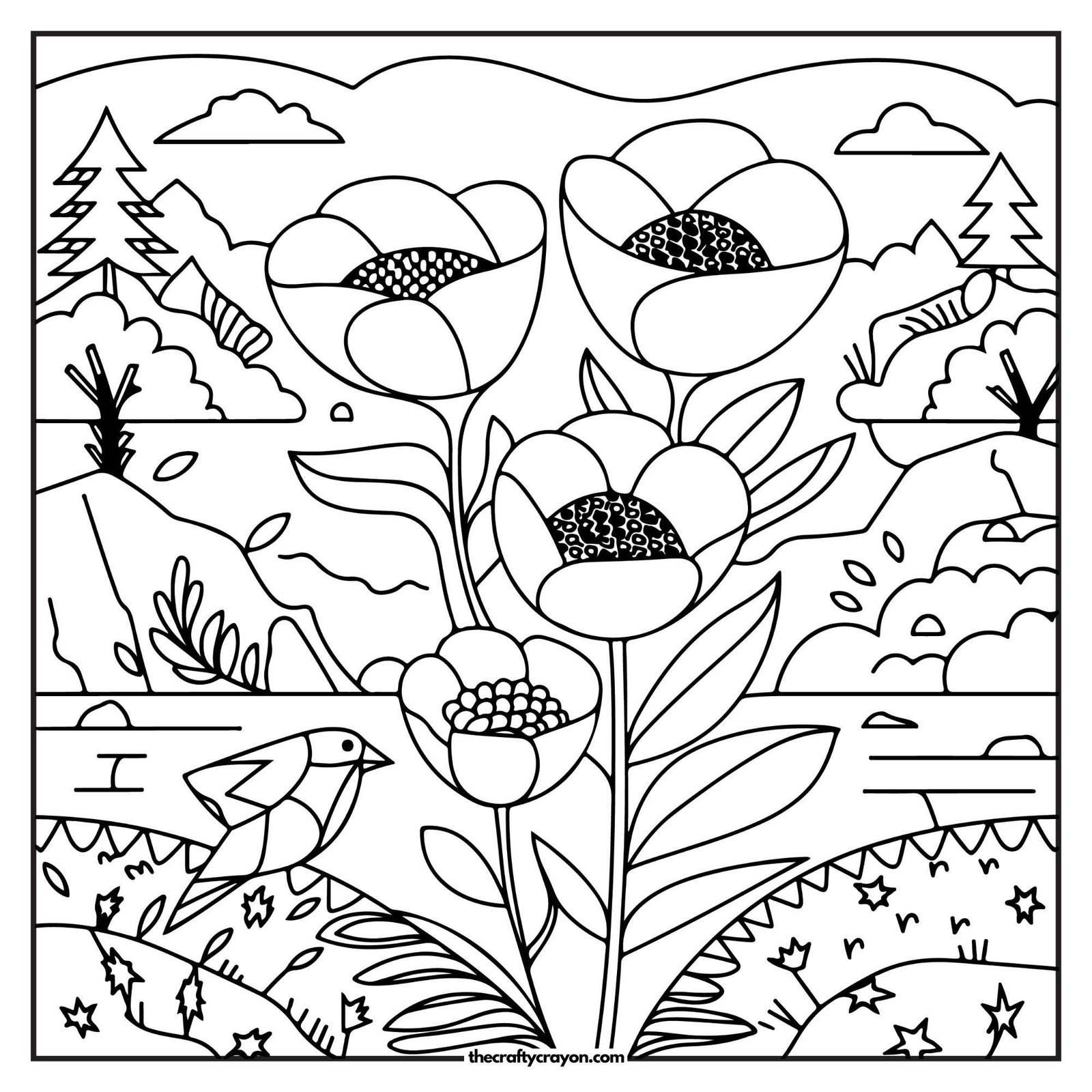 Wildflowers Blooming In Field