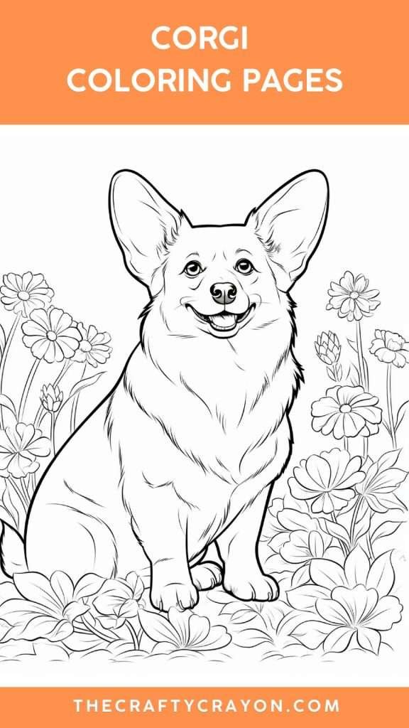 corgi coloring sheets corgi coloring sheets