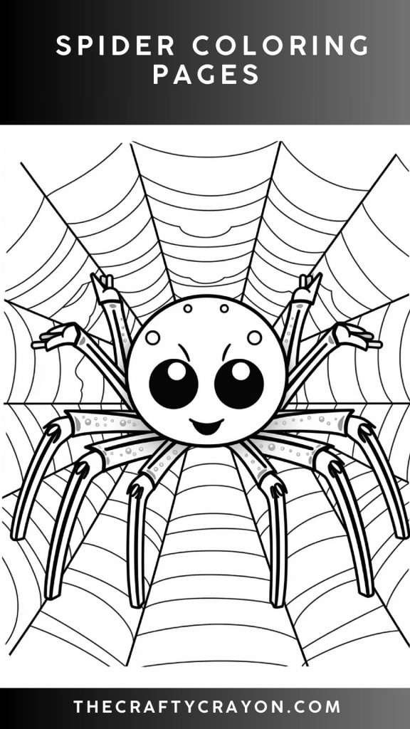 spider coloring page spider coloring page