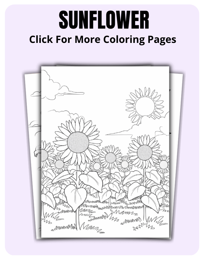 Sunflower Coloring Pages For Nature